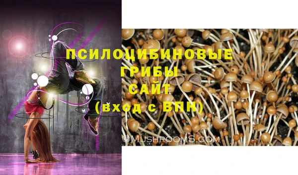 прущие грибы Каменка