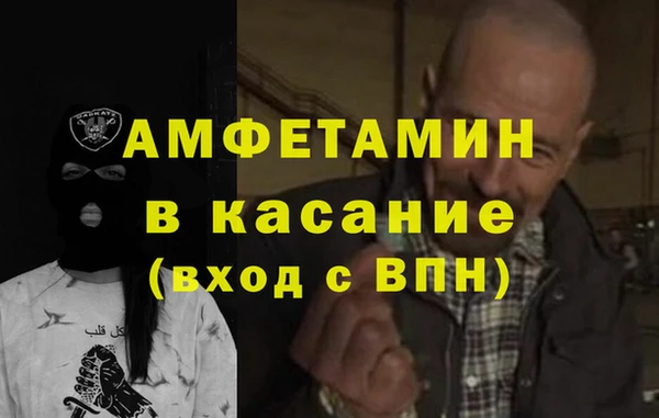 прущие грибы Каменка