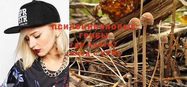 таблы Каменногорск