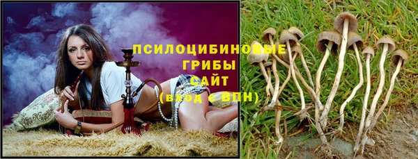 прущие грибы Каменка
