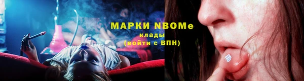 прущие грибы Каменка