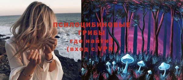 ECSTASY Каменск-Шахтинский