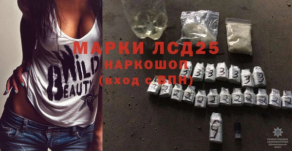 прущие грибы Каменка