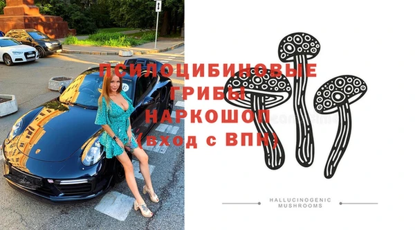 прущие грибы Каменка
