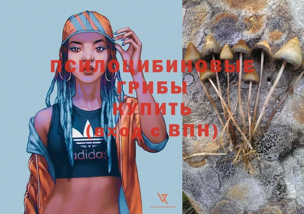 прущие грибы Каменка