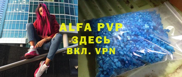 прущие грибы Каменка