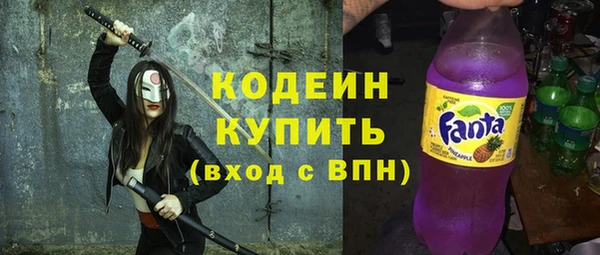 прущие грибы Каменка