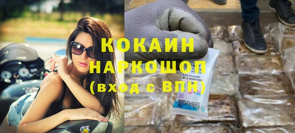 прущие грибы Каменка