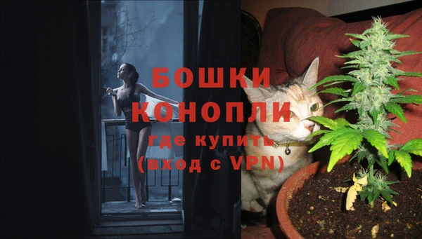 таблы Каменногорск