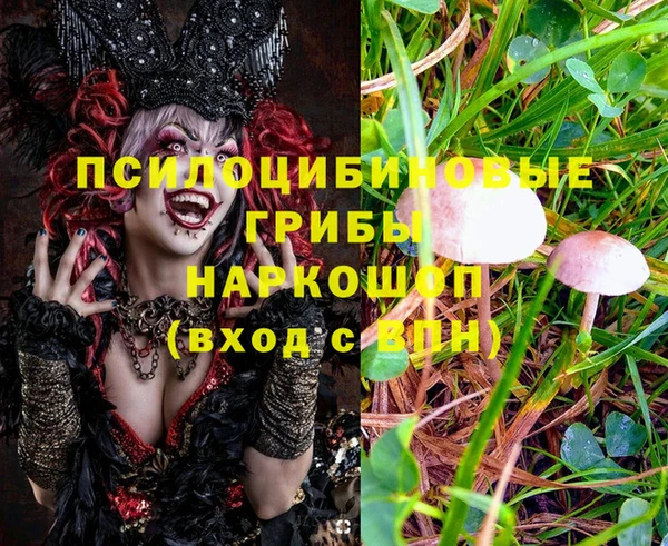 прущие грибы Каменка
