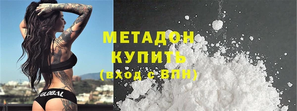 прущие грибы Каменка