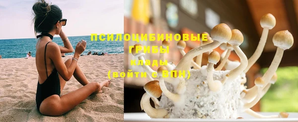 прущие грибы Каменка